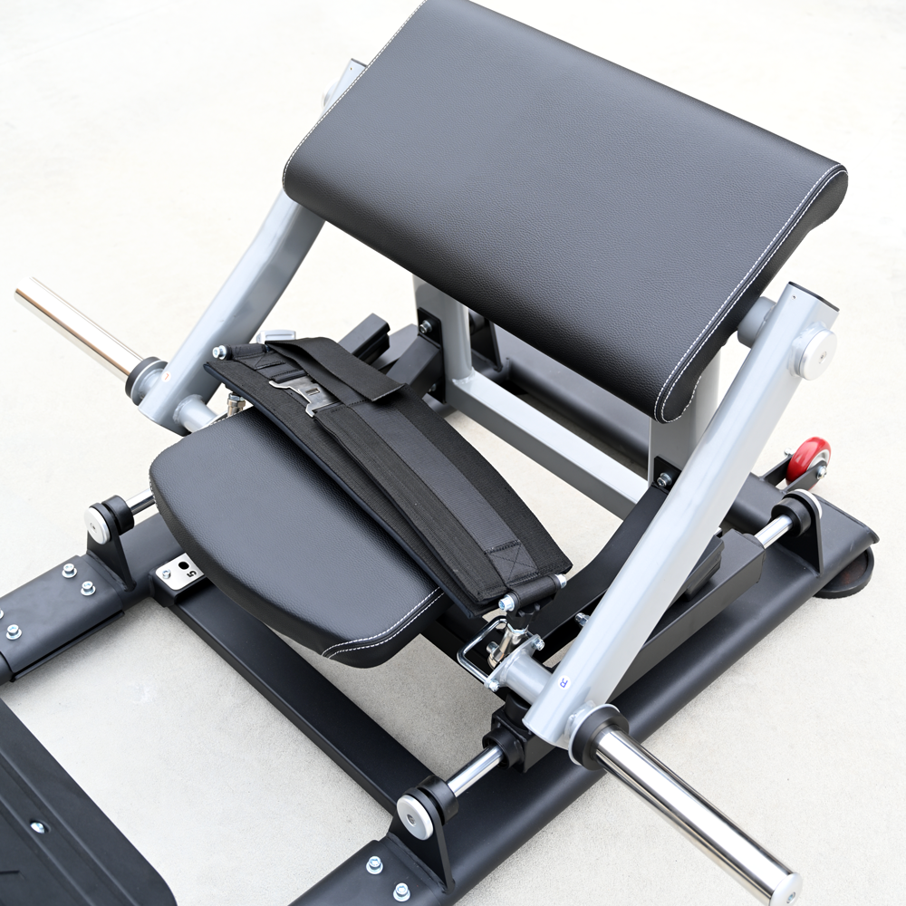 Hip Thrust