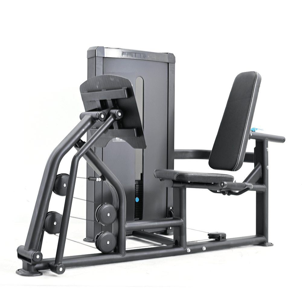 LEG PRESS