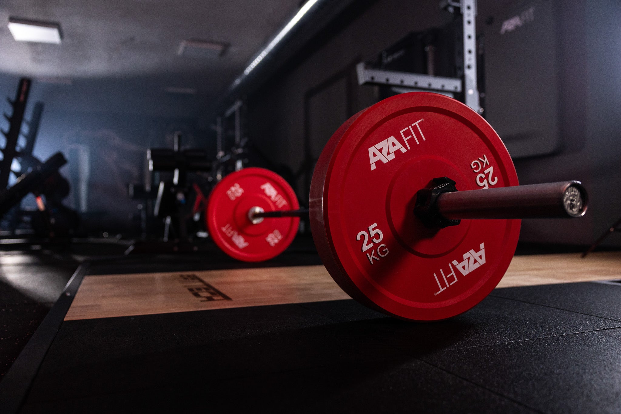 Bumper Plates Cores