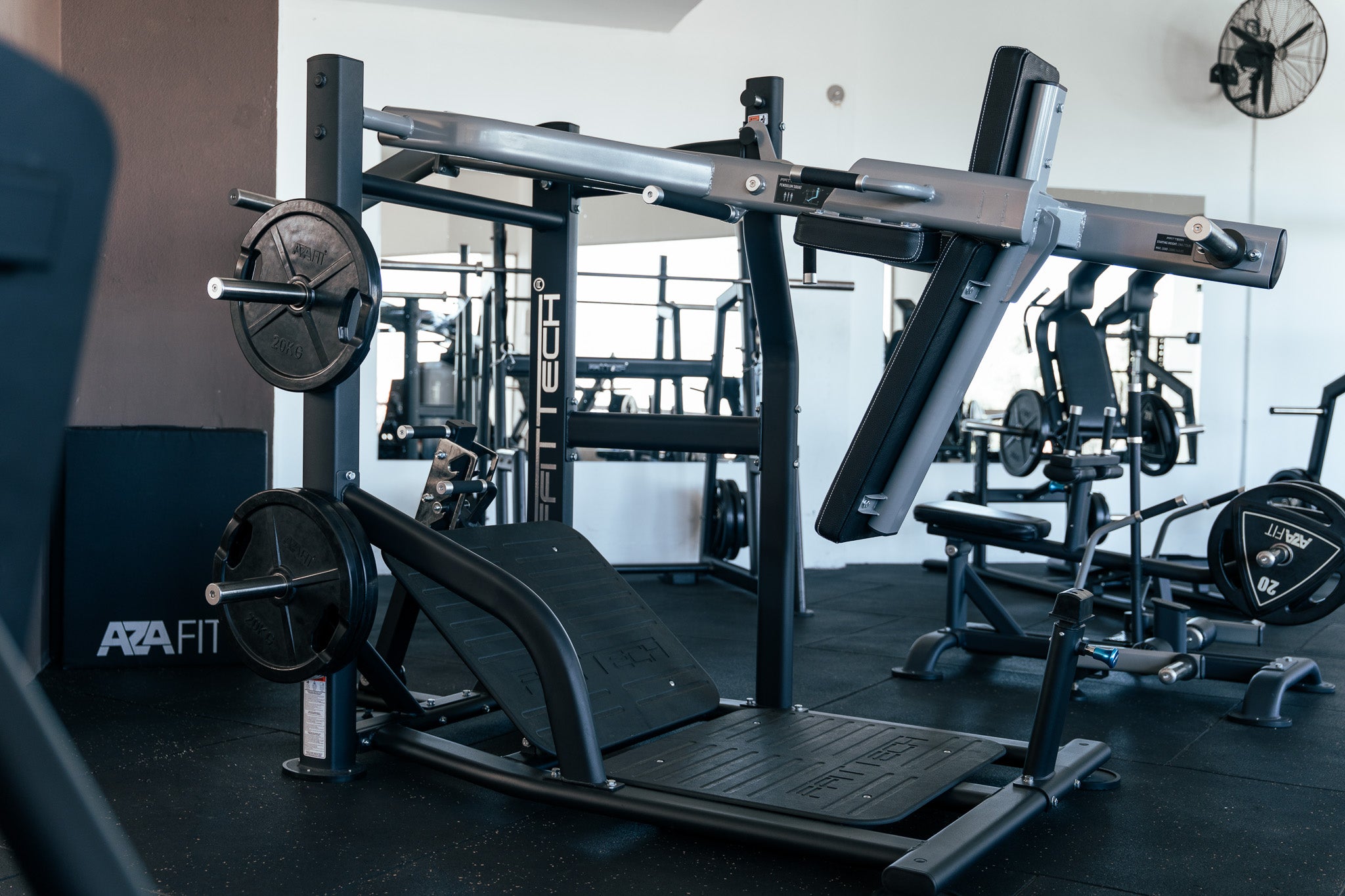 Pendulum Squat Machine