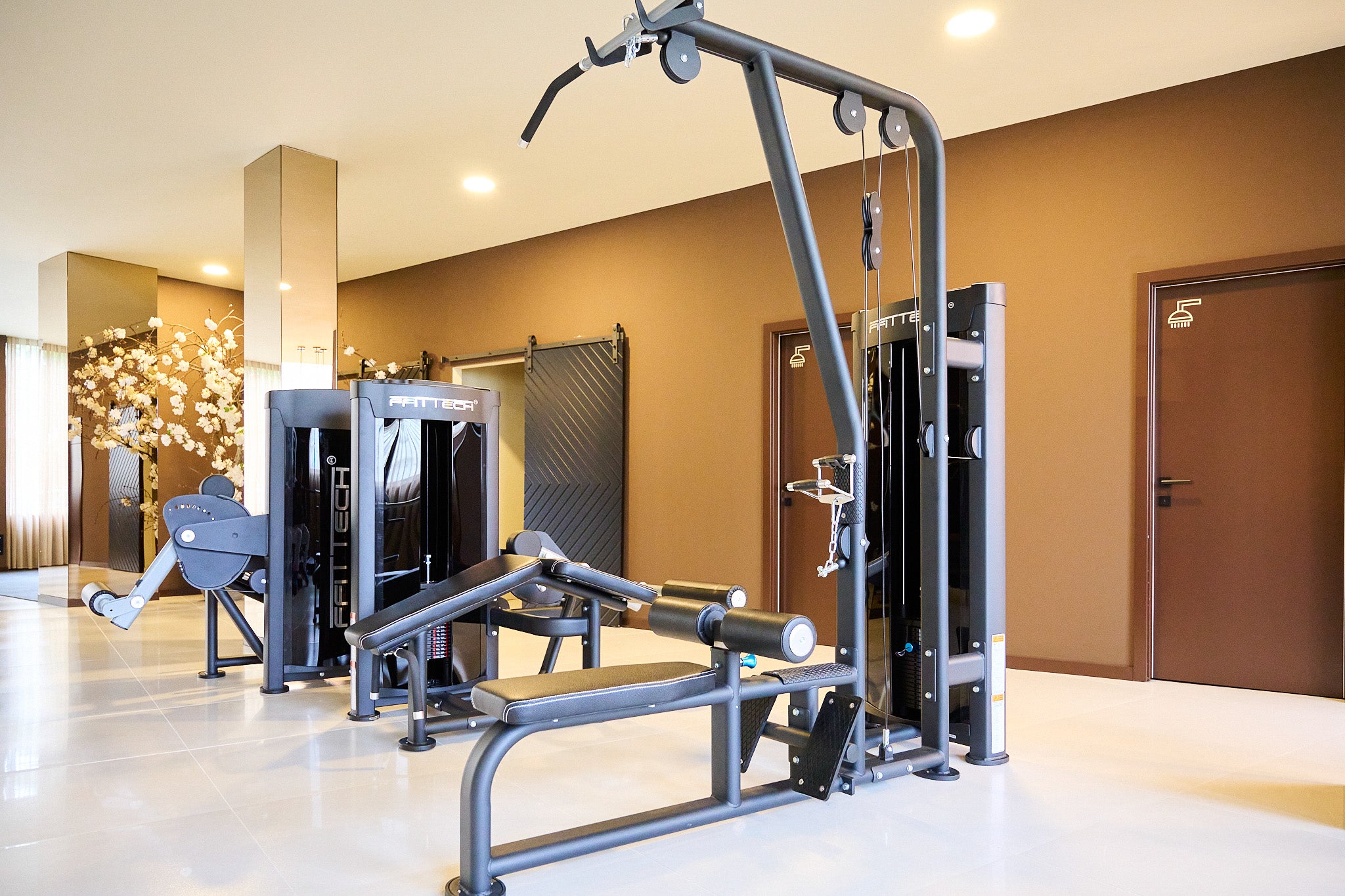 (Dual) Lat Pulldown and Low Row