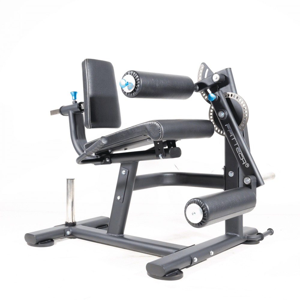 Dual Leg Extension/Leg Curl