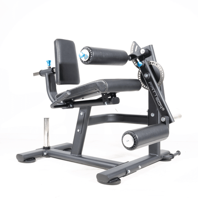 Dual Leg Extension/Leg Curl
