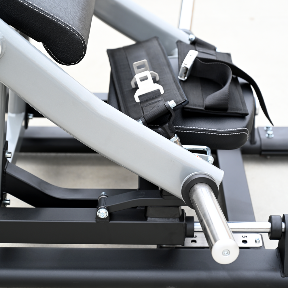 Hip Thrust