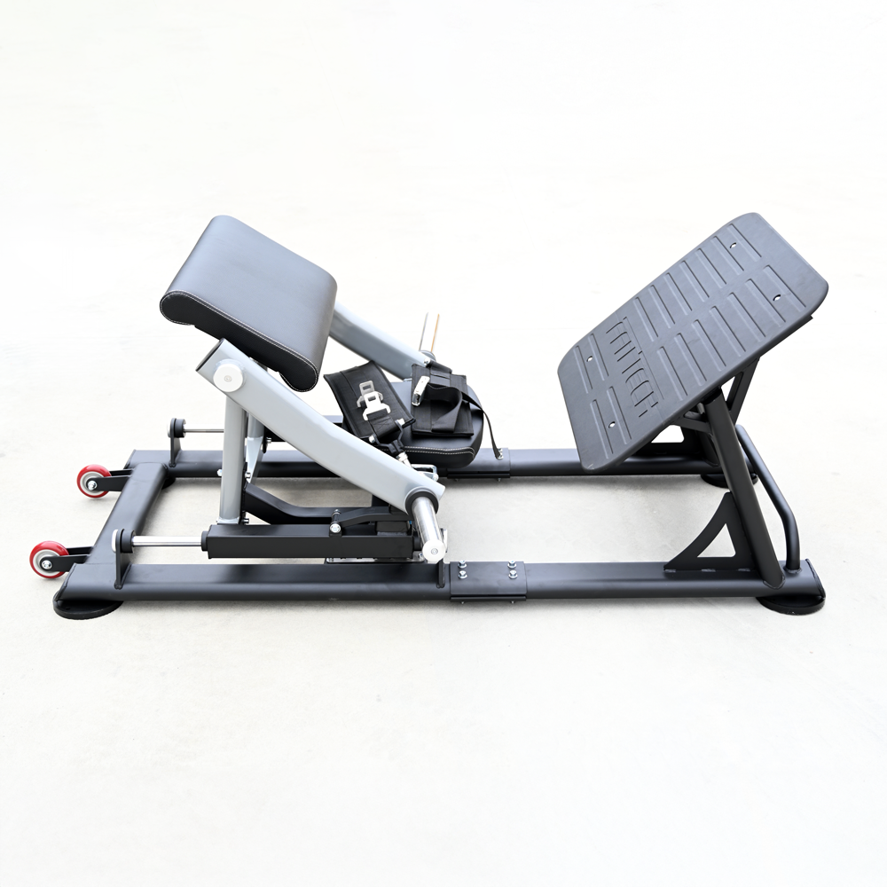 Hip Thrust