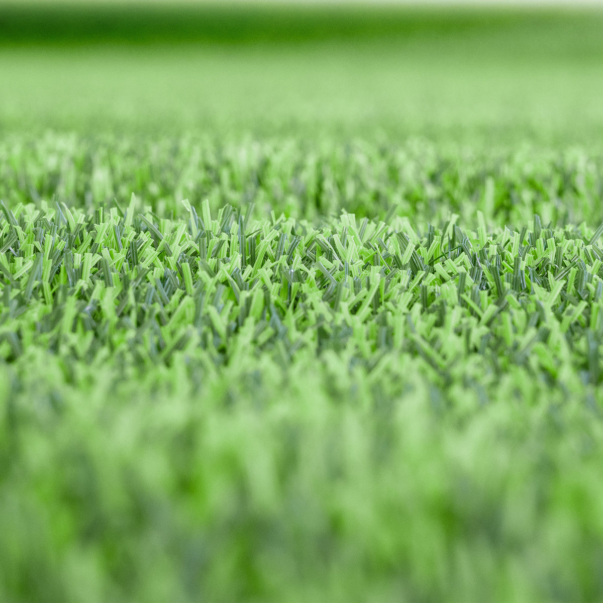 Pormenor de perfil das fibras verdes da relva artificial A038-8 para zonas de treino