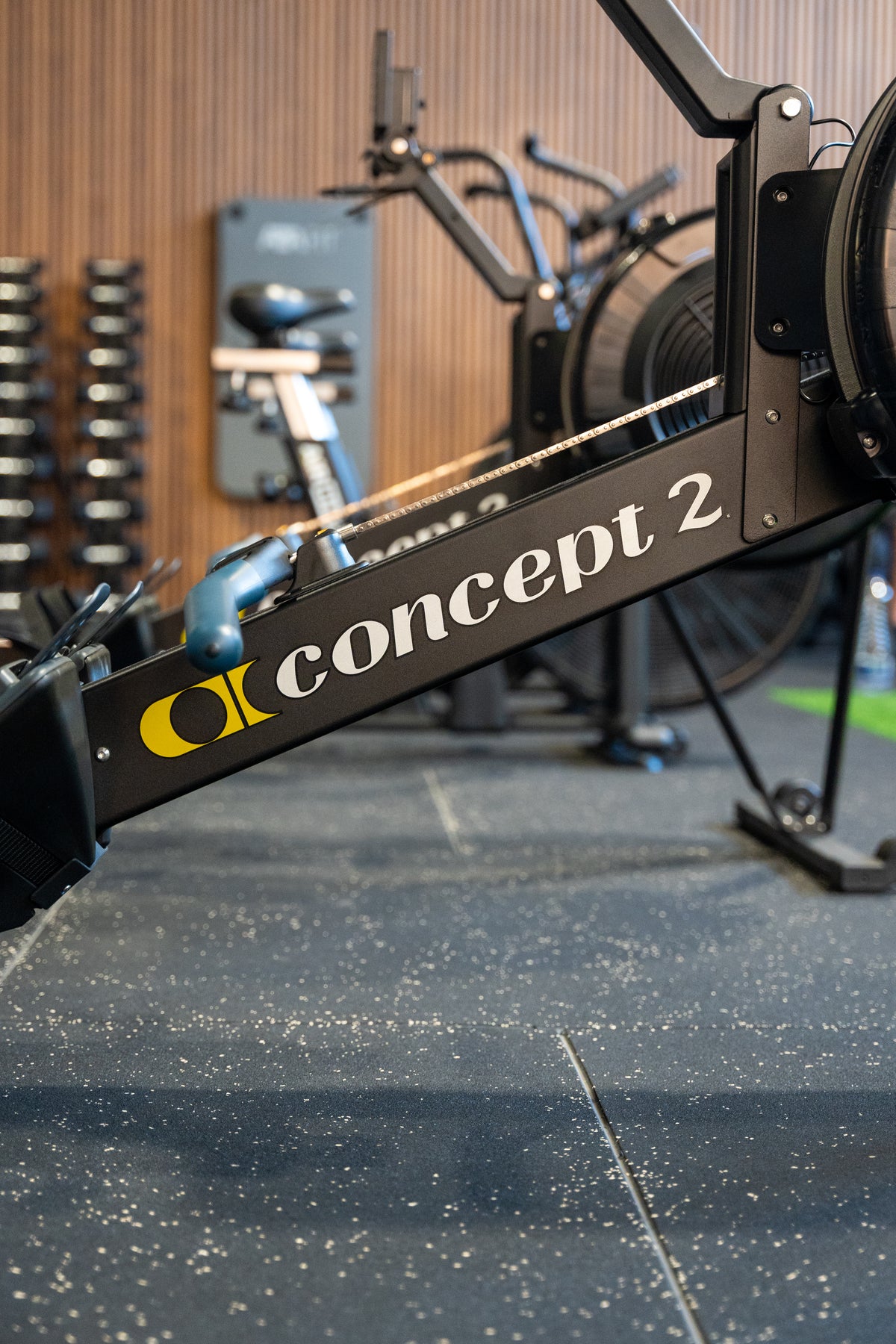 Remo Concept2 para sessões de crosstraining
