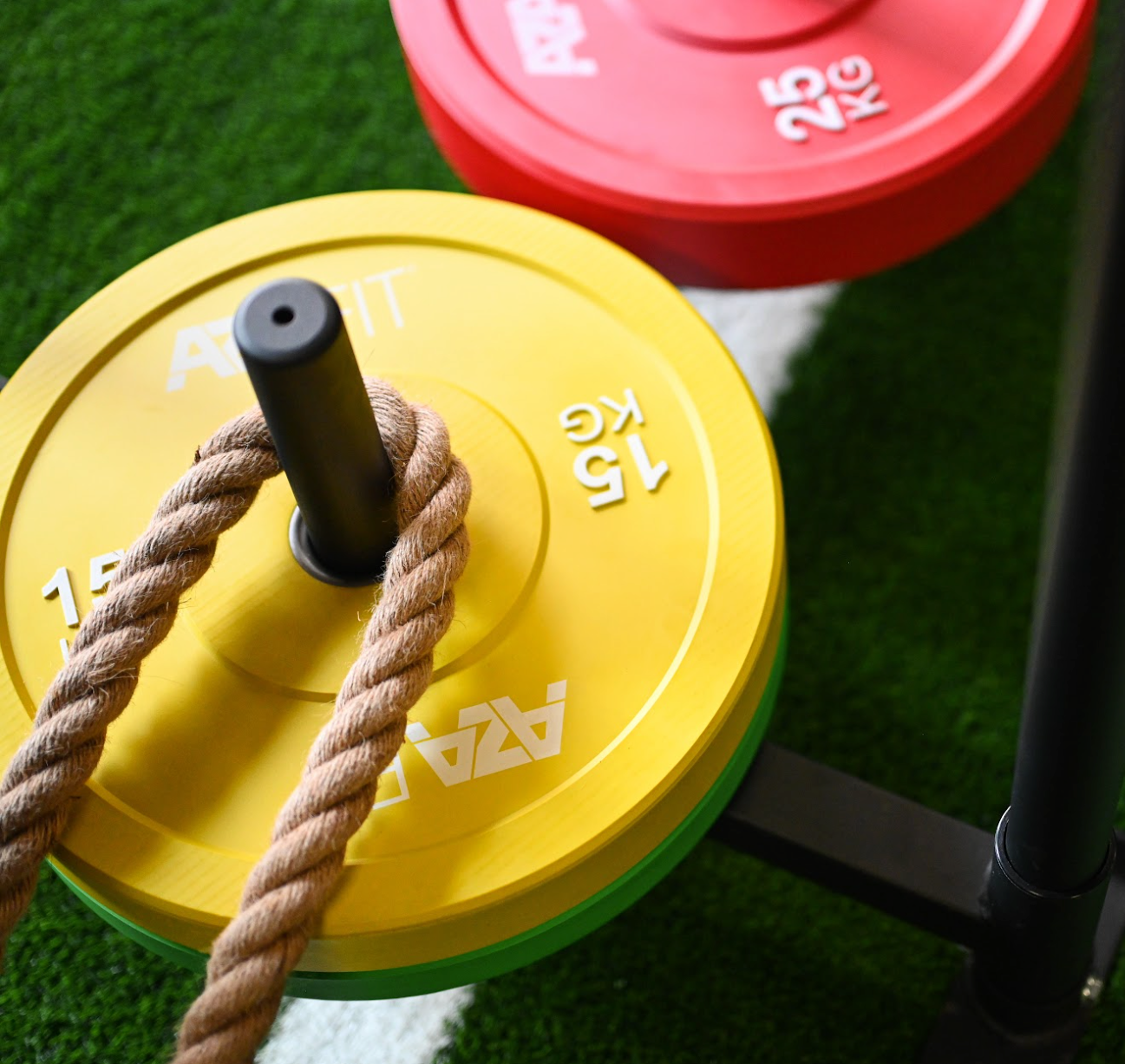 Bumper Plates