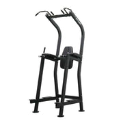 Vertical Knee Raise